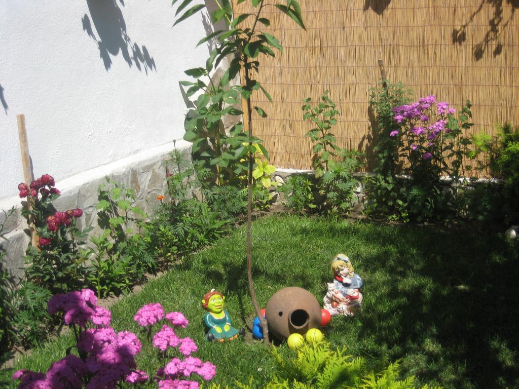 בנסקו Aseva House Guest House מראה חיצוני תמונה