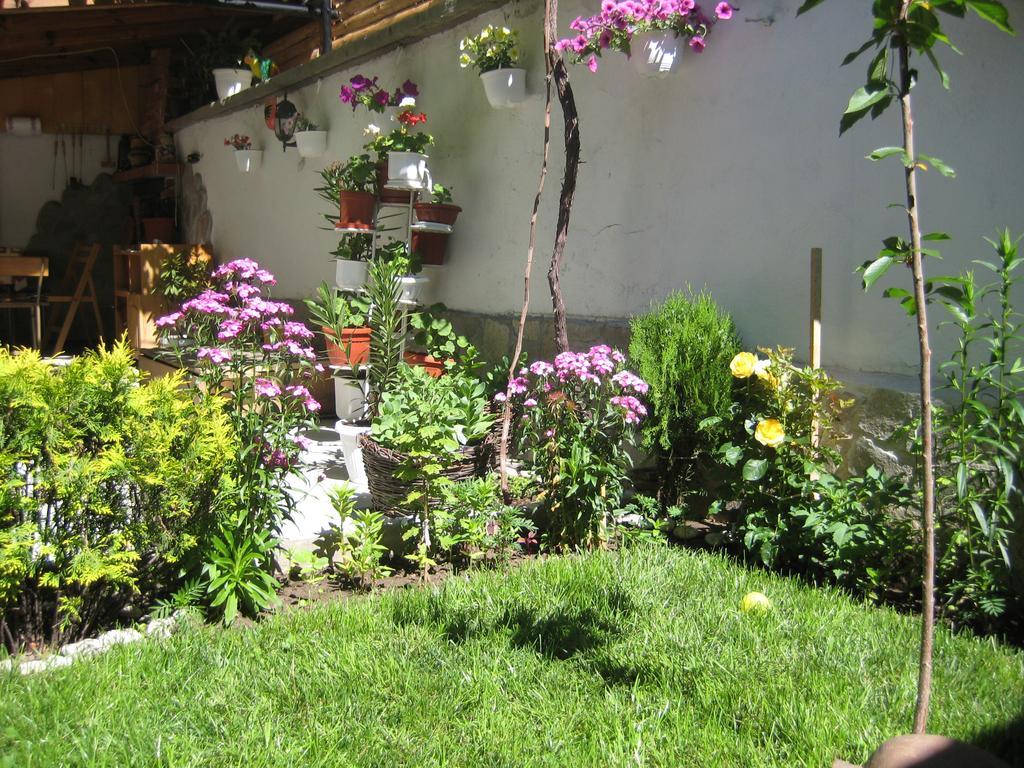 בנסקו Aseva House Guest House מראה חיצוני תמונה